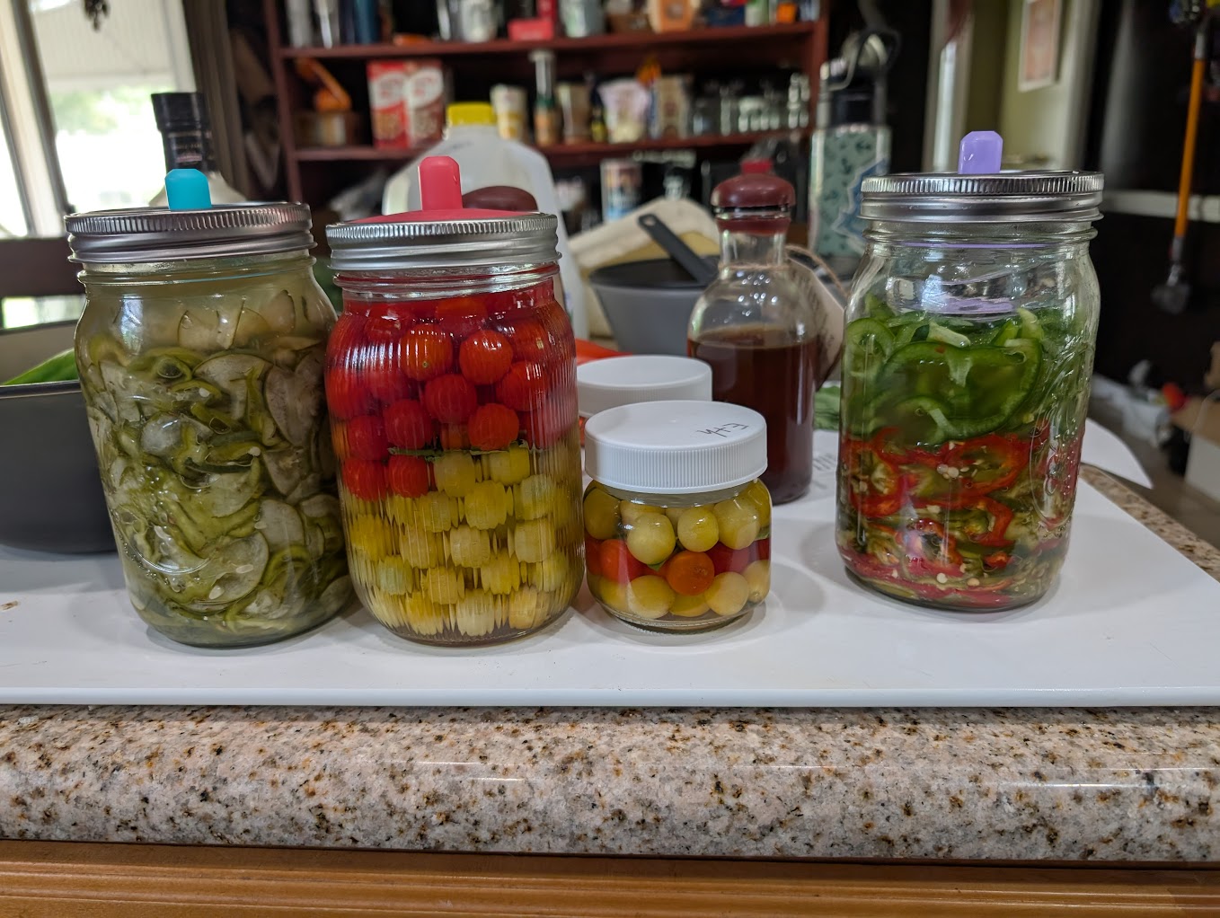 Colorful fermented veggies in jars